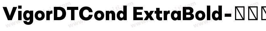 VigorDTCond ExtraBold字体转换
